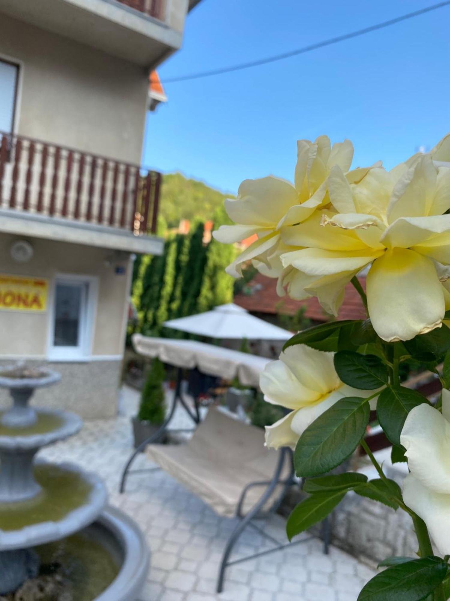 Apartment "Jona " Ni Exterior foto
